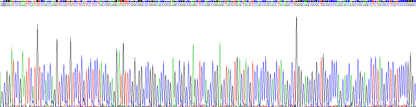 Recombinant Vimentin (VIM)