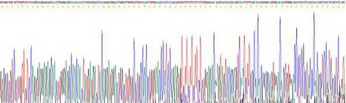 Recombinant Vitronectin (VTN)