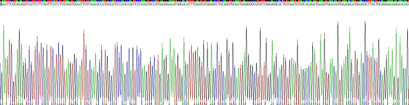 Recombinant Integrin Beta 1 (ITGb1)