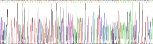 Recombinant Estrogen Receptor Alpha (ERa)