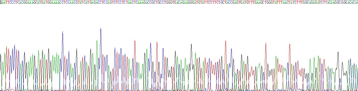 Recombinant Cytochrome P450 7A1 (CYP7A1)