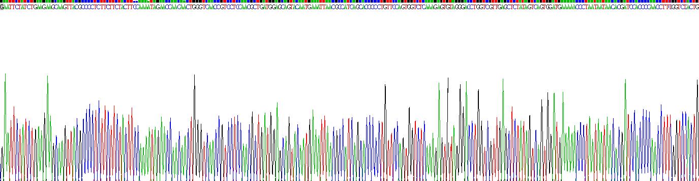 Recombinant Alanine Aminopeptidase (AAP)