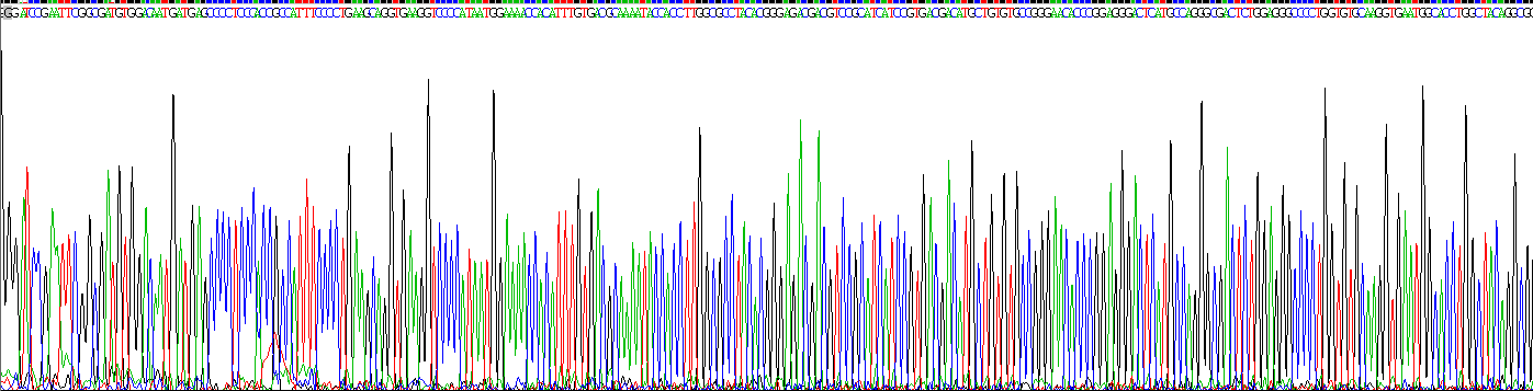 Recombinant Tryptase (TPS)