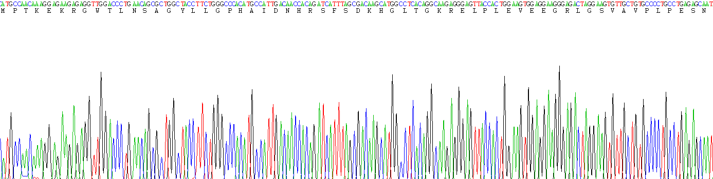 Recombinant Galanin (GAL)