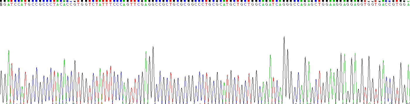 Recombinant Glutathione S Transferase Pi (GSTp)