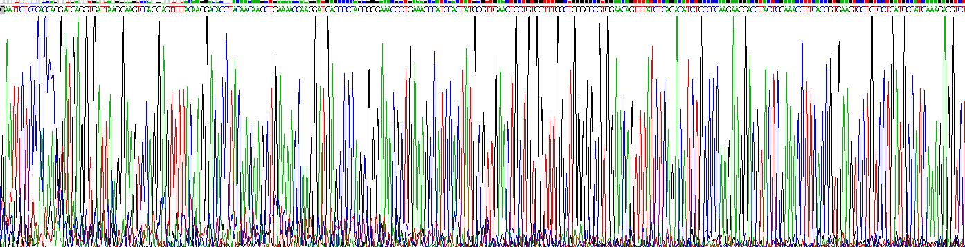 Recombinant Motility Related Protein (MRP1)