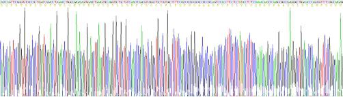 Recombinant Cluster Of Differentiation 8a (CD8a)