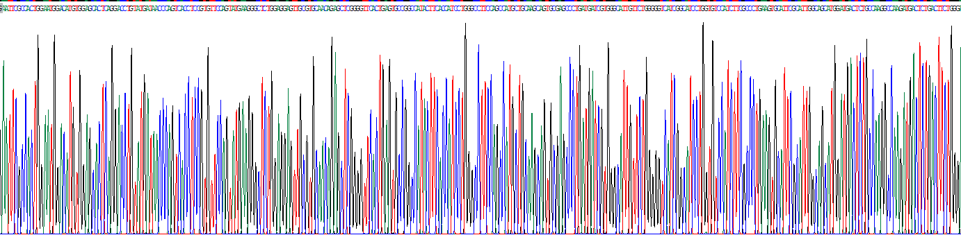 Recombinant Claudin 18 (CLDN18)