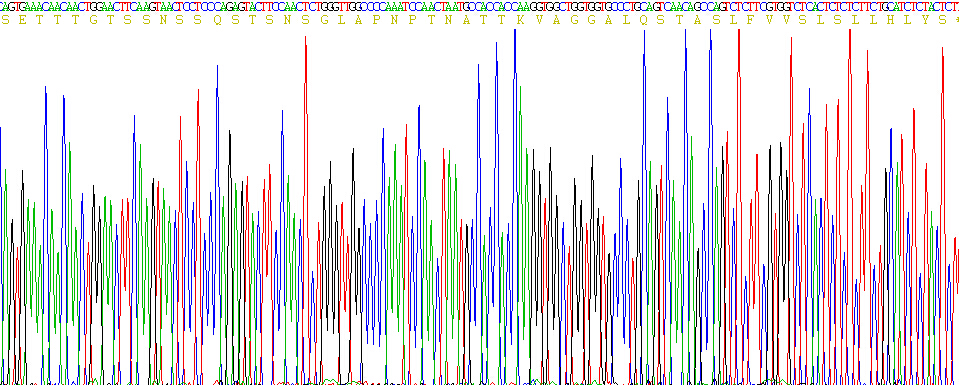 Recombinant Cluster Of Differentiation 24 (CD24)