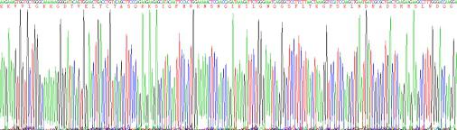 Recombinant Cluster Of Differentiation 4 (CD4)