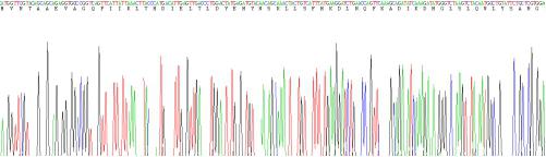 Recombinant Transferrin Receptor (TFR)