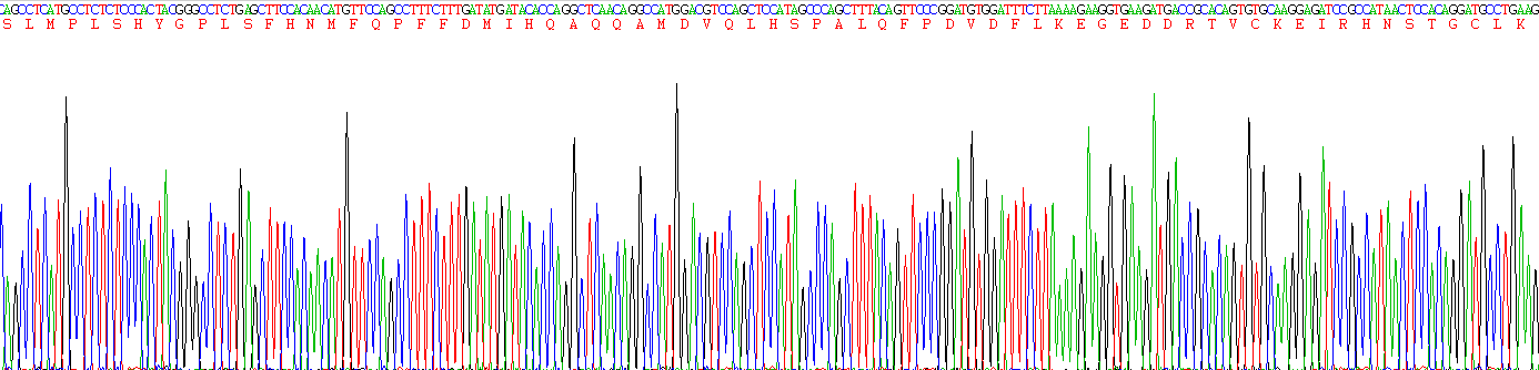 Recombinant Clusterin (CLU)