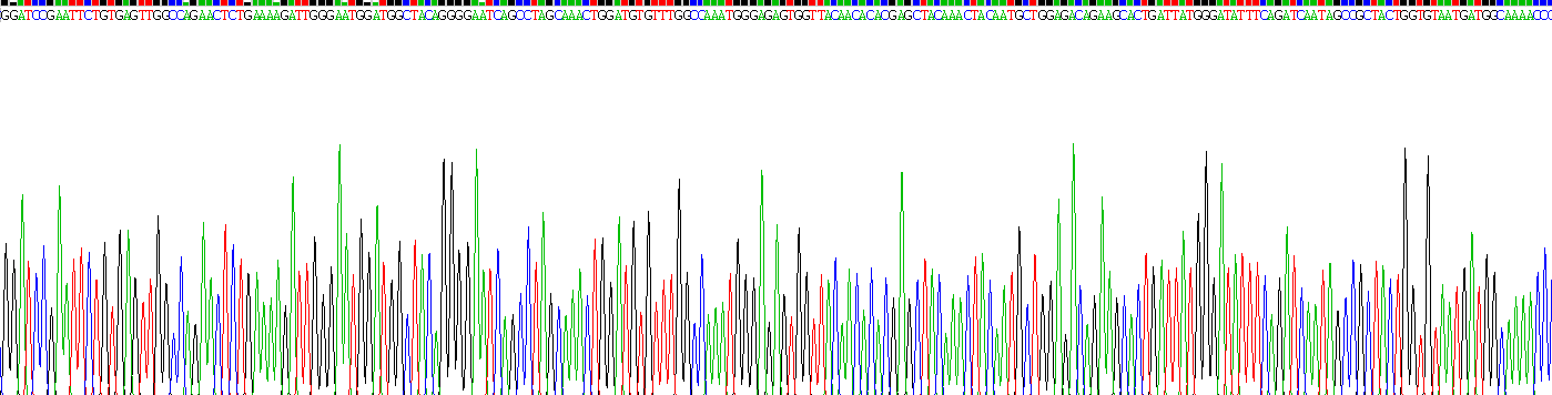 Recombinant Lysozyme (LZM)