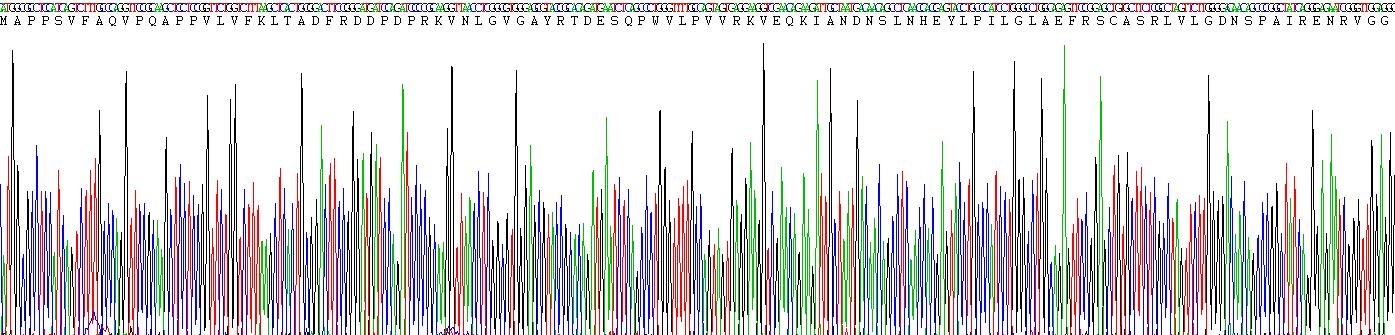 Recombinant Aspartate Aminotransferase (AST)