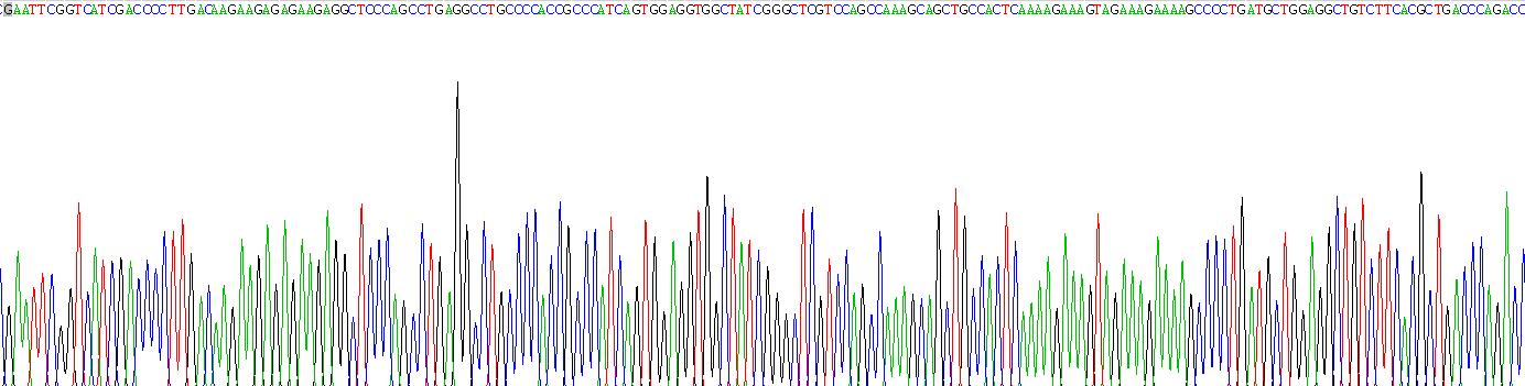 Recombinant Fibrinogen Beta Chain (FGB)