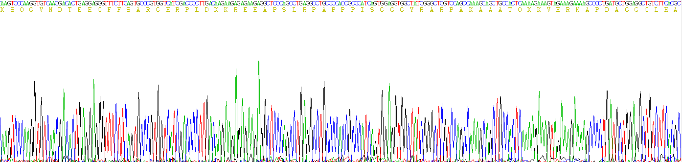 Recombinant Fibrinogen Beta Chain (FGB)