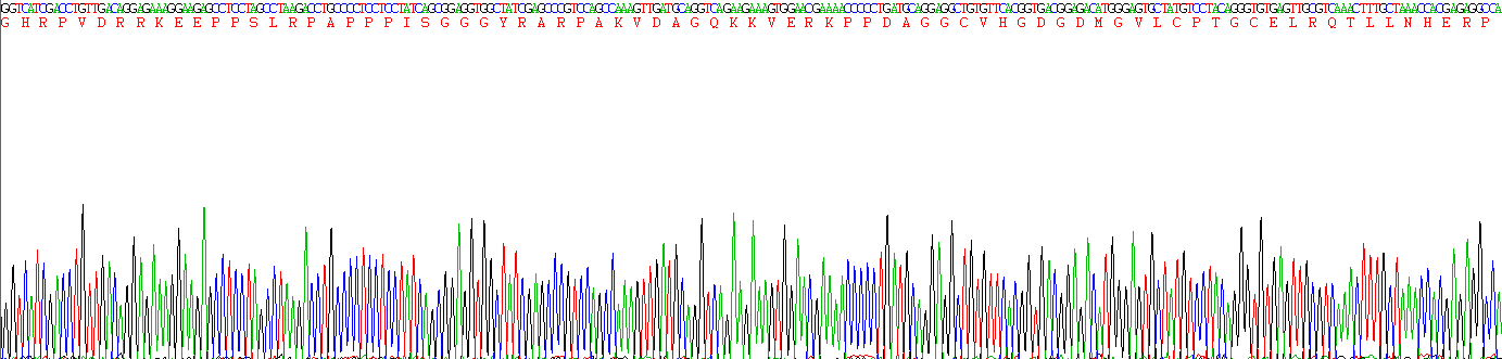 Recombinant Fibrinogen Beta Chain (FGB)