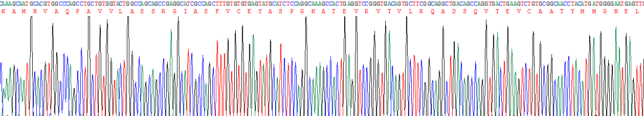 Recombinant Cytotoxic T-Lymphocyte Associated Antigen 4 (CTLA4)