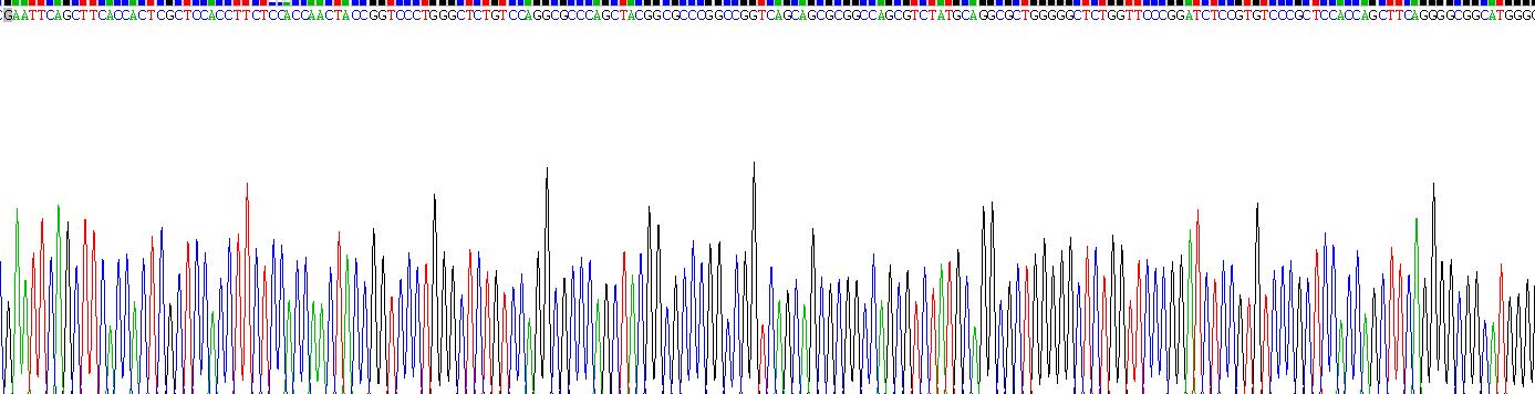 Recombinant Cytokeratin 18 (CK18)