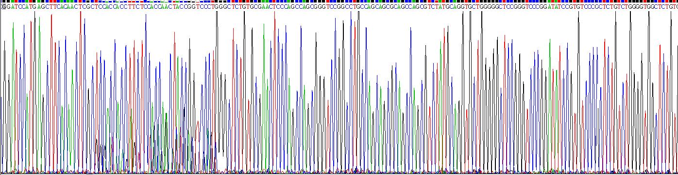 Recombinant Cytokeratin 18 (CK18)