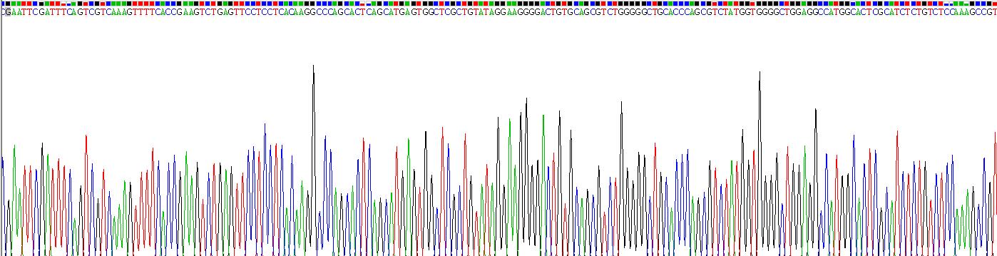 Recombinant Cytokeratin 20 (CK 20)