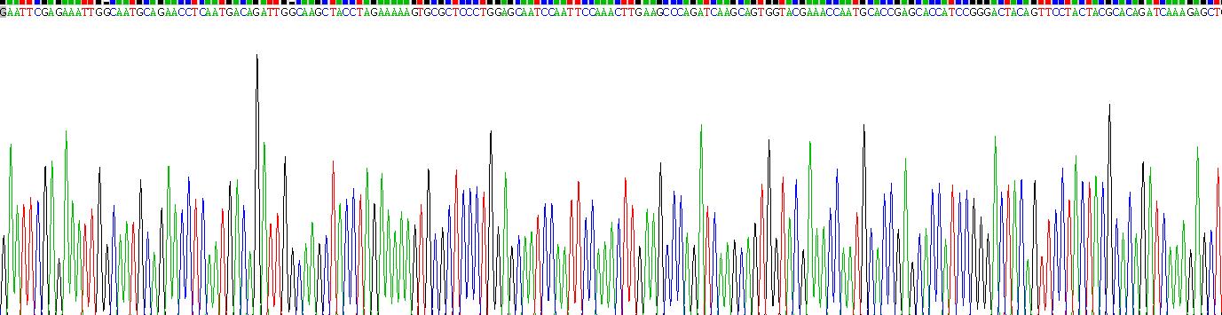 Recombinant Cytokeratin 20 (CK 20)