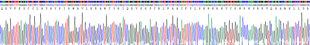 Recombinant Thymus Expressed Chemokine (TECK)