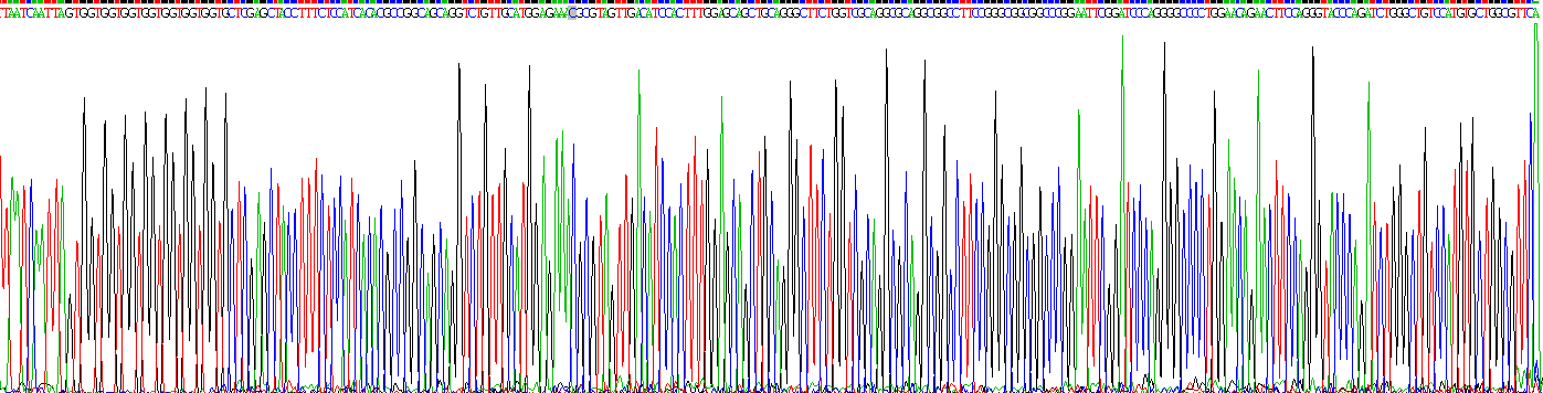 Recombinant Glutamate Decarboxylase 2 (GAD2)