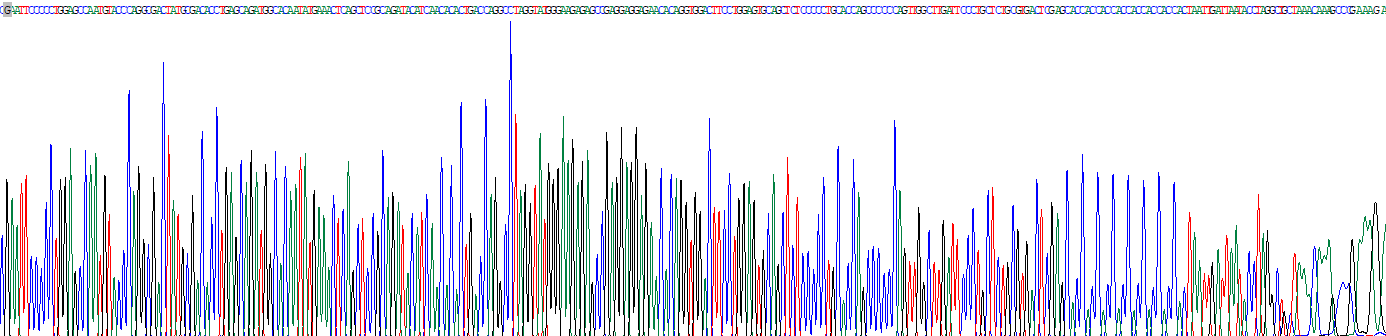 Recombinant Pancreatic Polypeptide (PP)