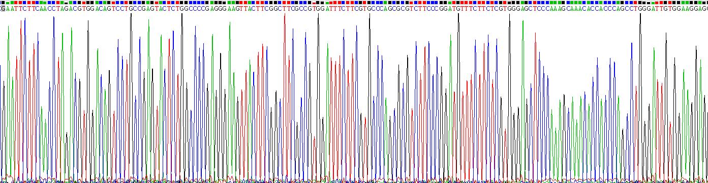 Recombinant Integrin Alpha V (ITGaV)