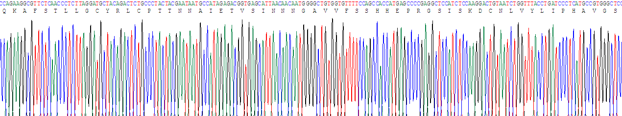 Recombinant Dopamine Receptor D1 (DRD1)