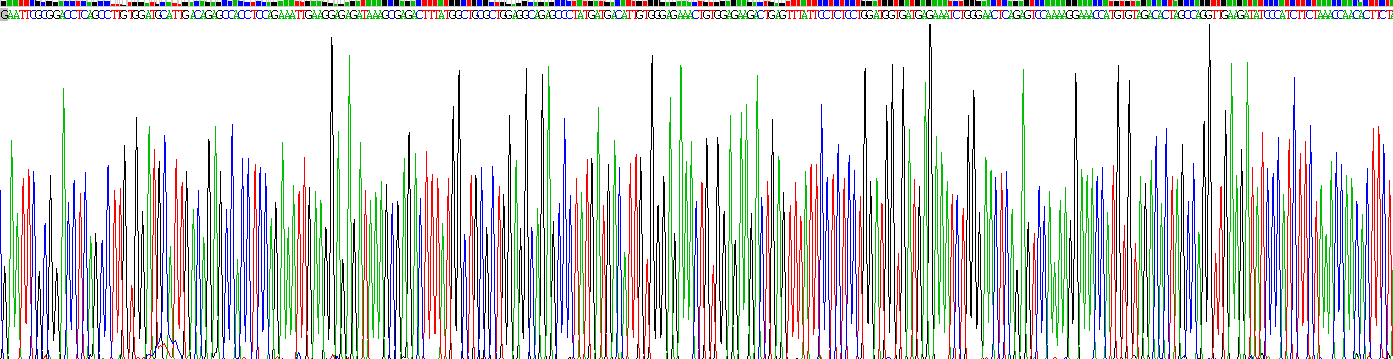 Recombinant Microtubule Associated Protein 4 (MAP4)