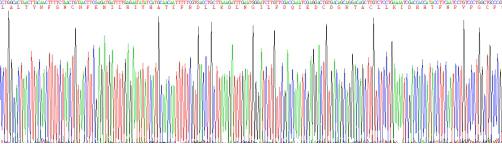 Recombinant Thymic Stromal Lymphopoietin (TSLP)