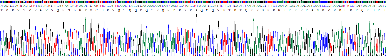 Recombinant Involucrin (INV)