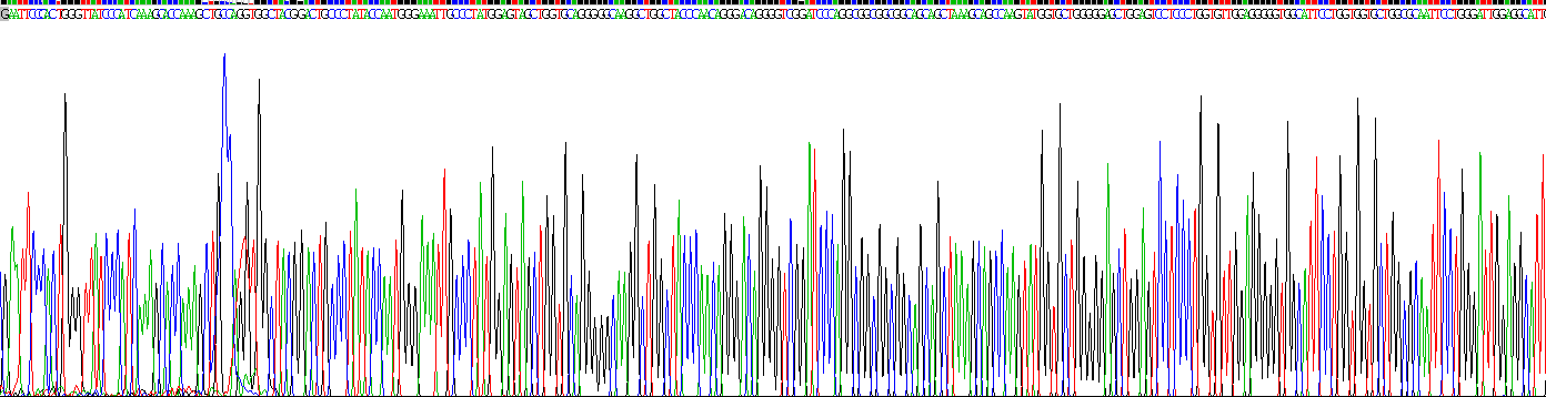 Recombinant Elastin (ELN)