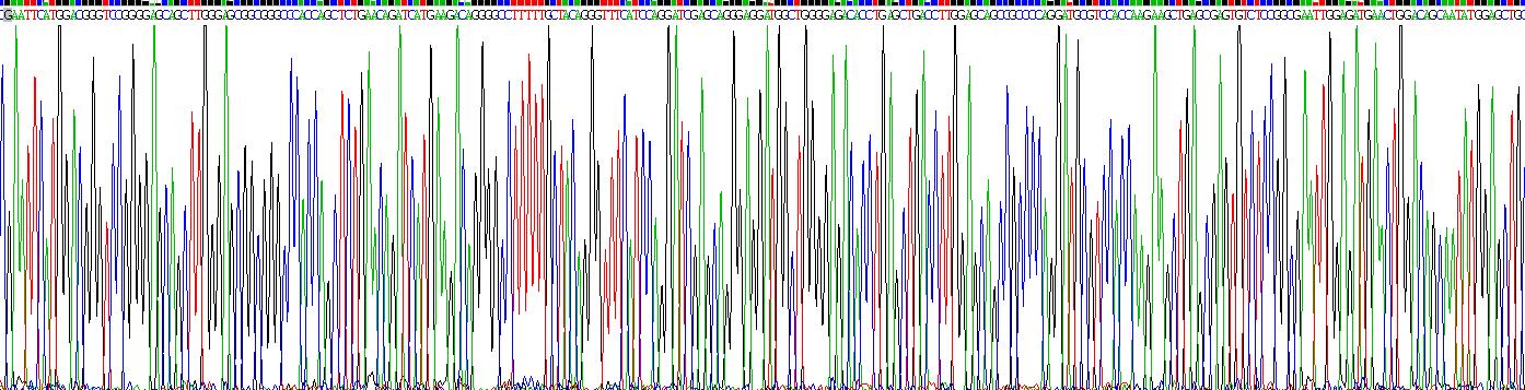 Recombinant Bcl2 Associated X Protein (Bax)