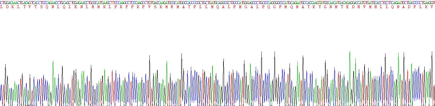 Recombinant Cluster Of Differentiation 74 (CD74)