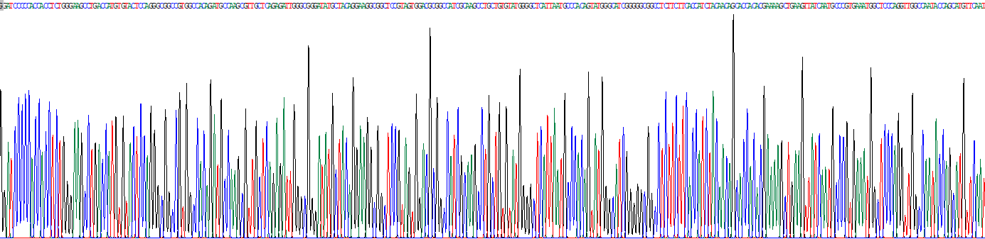 Recombinant Gamma-Glutamyltransferase 1 (gGT1)