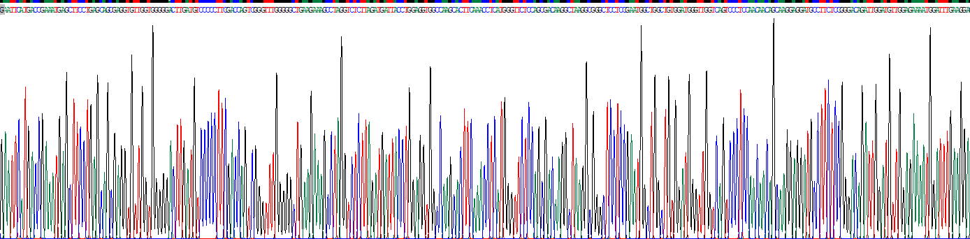 Recombinant Activating Transcription Factor 4 (ATF4)