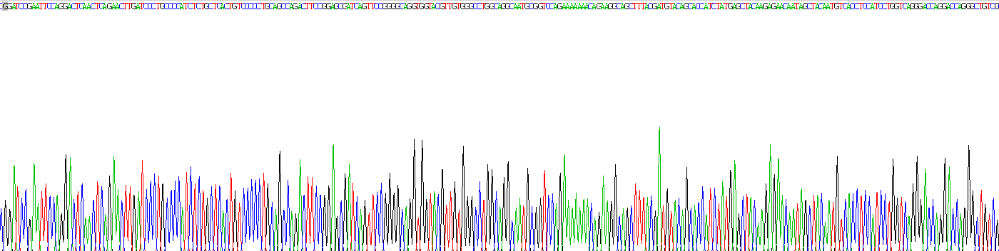 Recombinant Neutrophil gelatinase-associated lipocalin (NGAL)