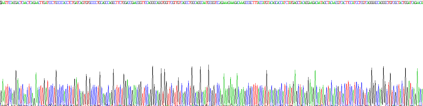 Recombinant Neutrophil gelatinase-associated lipocalin (NGAL)