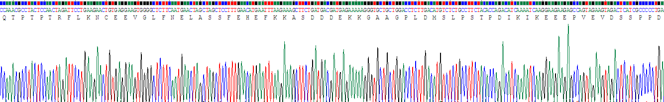 Recombinant Activating Transcription Factor 7 (ATF7)