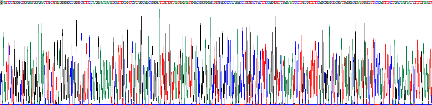 Recombinant Protocadherin Beta 2 (PCDHb2)