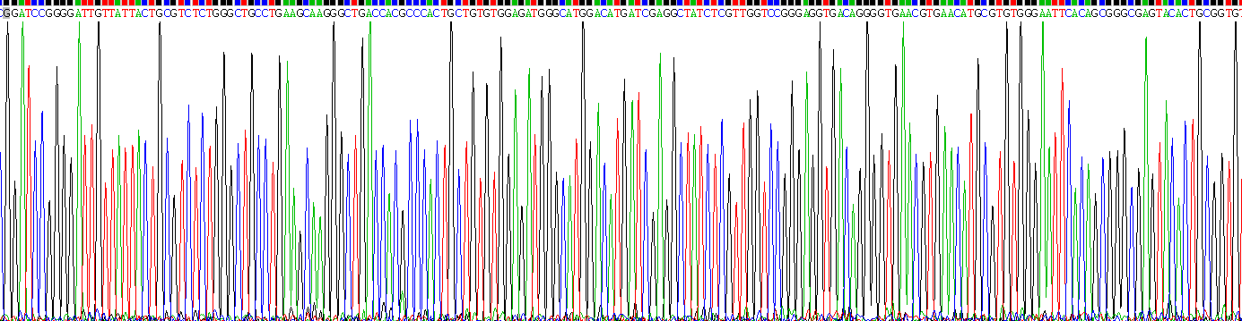 Recombinant Adenylate Cyclase 5 (ADCY5)