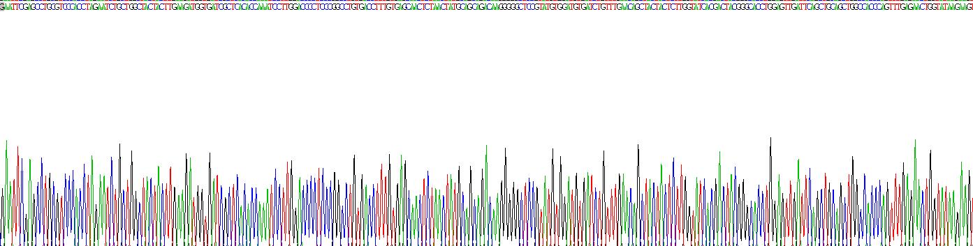 Recombinant Glucuronidase Beta (GUSb)