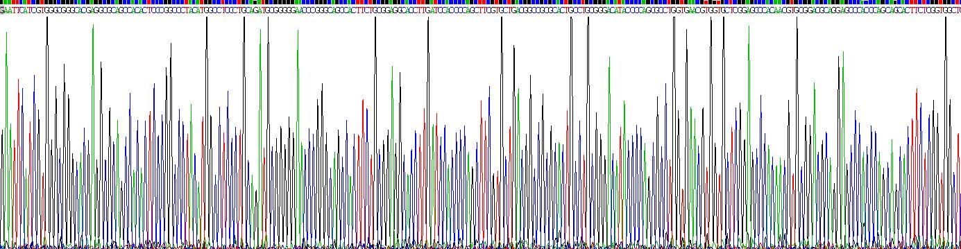 Recombinant Proteinase 3 (PR3)