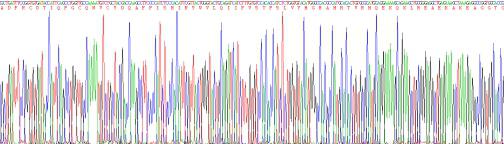 Recombinant Connexin 40 (CX40)