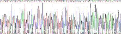 Recombinant Connexin 40 (CX40)