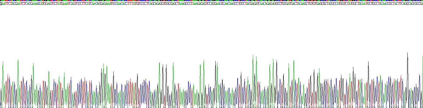 Recombinant Matrix Gla Protein (MGP)