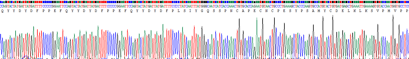 Recombinant Lumican (LUM)